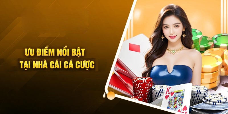 Trang chủ 31 Điểm nổi bật tạo nên sức hút của trang chủ M8win